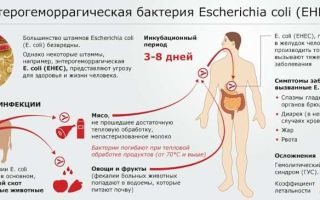 E Coli гемолитические в кале у ребенка